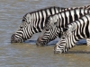 Namibia 006