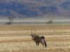 Namibia 026