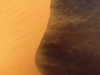 Namibia 027