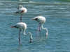 Namibia 029