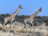 Namibia 035