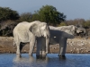 Namibia 037