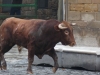 Navarra-09