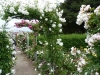 Normandie-10