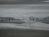 Normandie-25