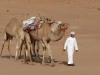 Oman-Nord-04
