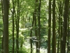 Ostsee-Oder-023