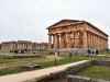 20220421-Paestum-SSp02
