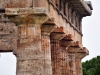 20220421-Paestum-SSp08