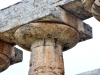 20220421-Paestum-SSp09