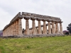 20220421-Paestum-SSp11