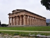 20220421-Paestum-SSp12