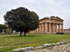 20220421-Paestum-SSp13