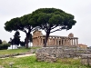 20220421-Paestum-SSp18