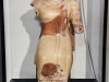 20220421-Paestum-SSp28