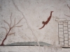 20220421-Paestum-SSp33