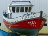 Patagonien 026