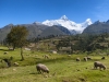 Nevado Huandoy