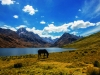 Laguna Querococha, Recuay.