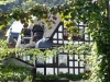 Rhein-Mosel-08