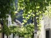 Rhein-Mosel-25