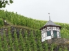 Rhein-Mosel-33