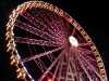 Rimini-30