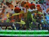 20251025-Rotterdam-SSp46