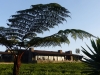 Ruanda 001