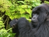 Ruanda 003
