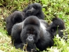 Ruanda 004