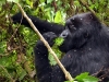 Ruanda 012