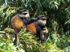 Ruanda 017