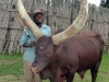 Ruanda 021