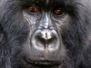 Ruanda 027