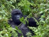 Ruanda 028