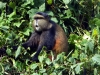 Ruanda 033
