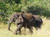 Ruanda 040
