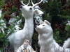 Stille Nacht 001
