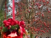 Stille Nacht 013
