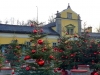 Stille Nacht 024