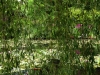 Seine 025