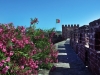 20240610-Silves-SSp14