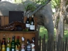 Simbabwe-005