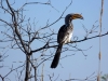 Simbabwe-012