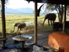 Simbabwe-018