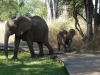 Simbabwe-032