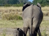 Simbabwe-037