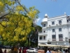 Sri Lanka 015
