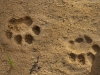 Sri Lanka 013
